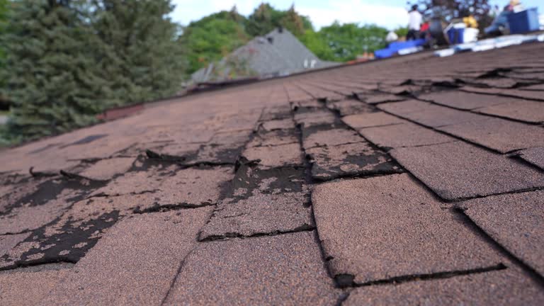 Best Flat Roofing  in Gallitzin, PA